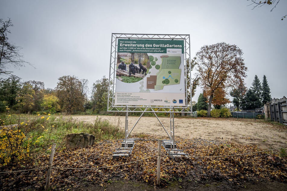 Auf dem Zoogelände in Krefeld soll in den nächsten Jahren nach und nach ein Artenschutzzentrum Affenpark entstehen.