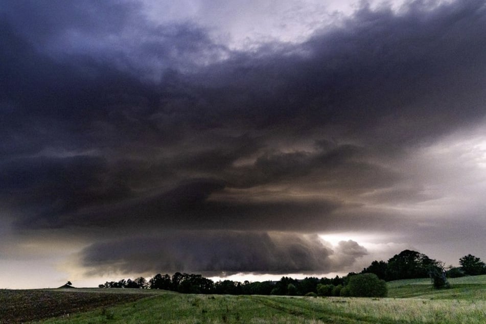 In Trauerwald! Kind bei Unwetter von Ast erschlagen