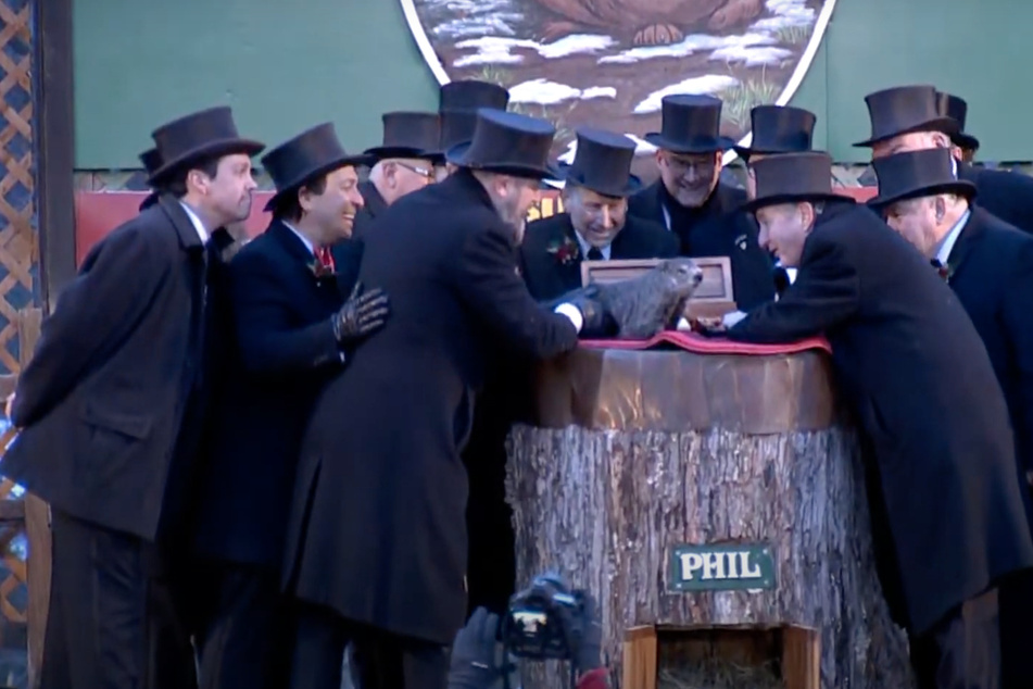 Punxsutawney Phil just before seeing his shadow during the Groundhog Day ceremony.
