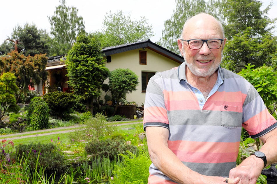 Auf diese Weise habe ich meinen feuchten Keller wieder trocken bekommen