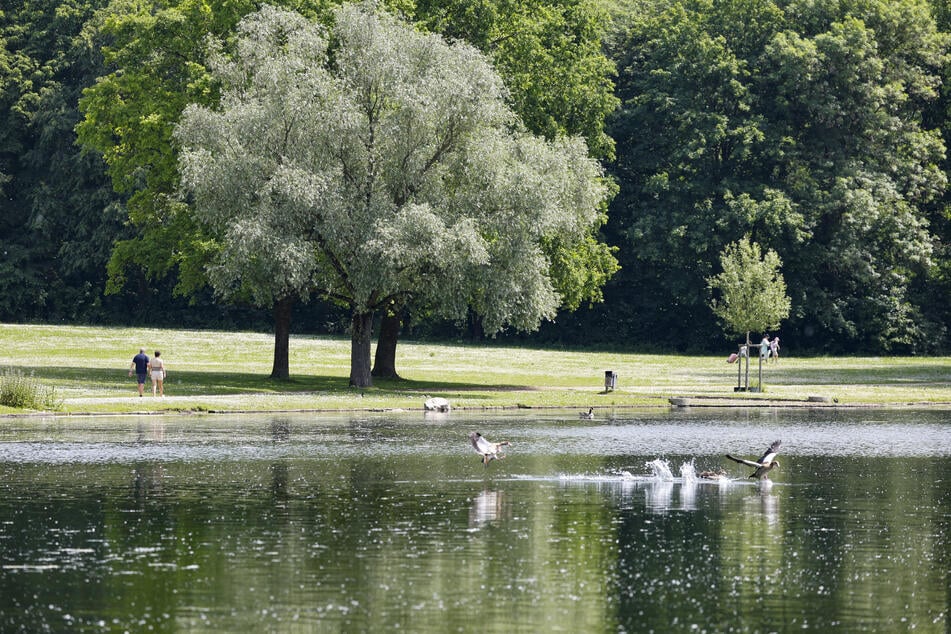 Nimmt der Sommer in NRW jetzt richtig Fahrt auf? So startet die kommende Woche