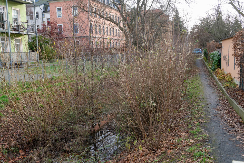 Den Bachlauf zwischen der Draesekestraße und Heinrich-Schütz-Straße ließ die Stadt bereits 2022 umgestalten.