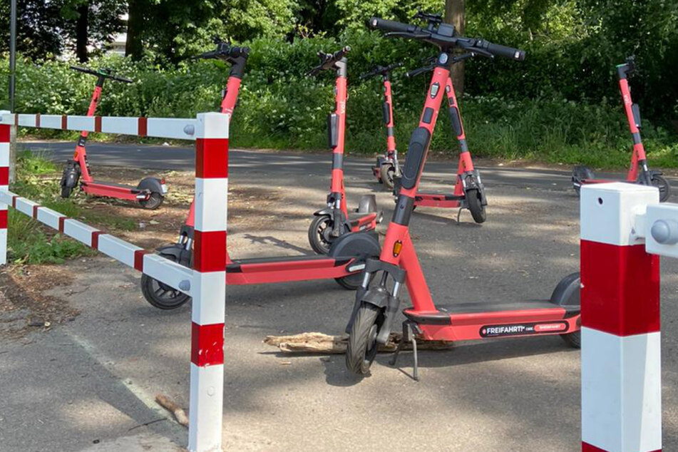 Einige E-Scooter-Anbieter verbieten es ihren Kunden, die Roller in der Nähe des Rheinufers abzustellen.