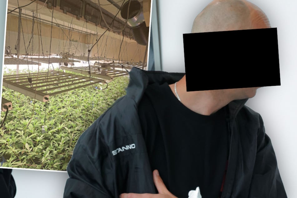 Er hatte eine riesige Cannabis-Plantage in Sachsen: "Haschbaron" kommt mit Bewährung davon