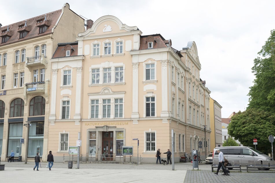 Das Senckenberg-Museum lässt von außen kaum erahnen, wie viele Exponate sich darin befinden.