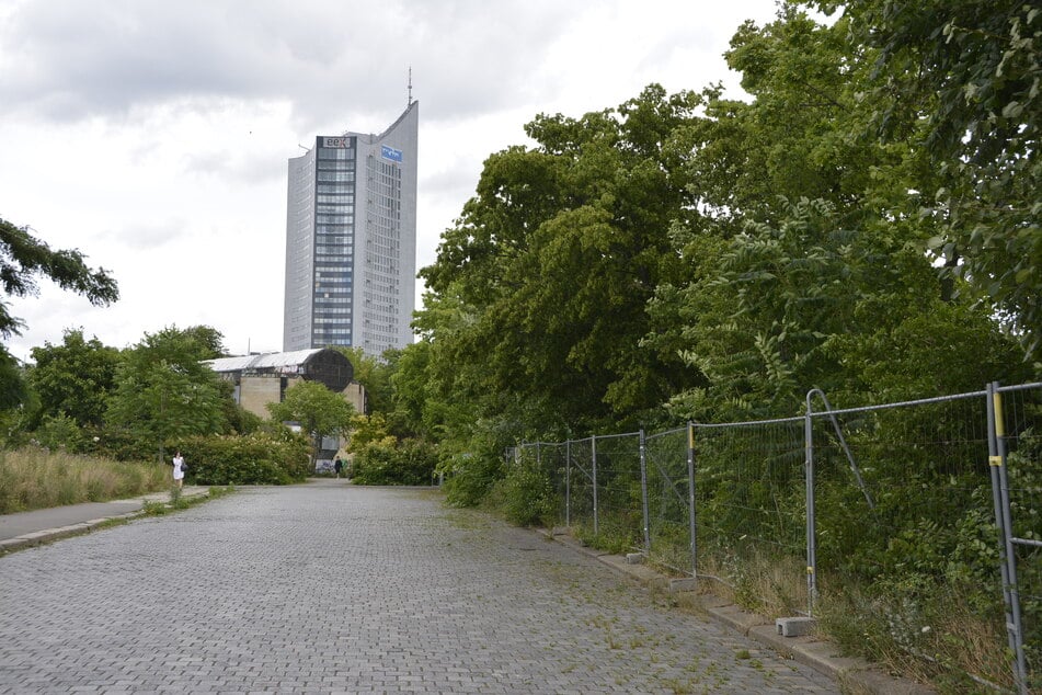 Das Grün auf dem Wilhelm-Leuschner-Platz muss bald den Bauplänen weichen.