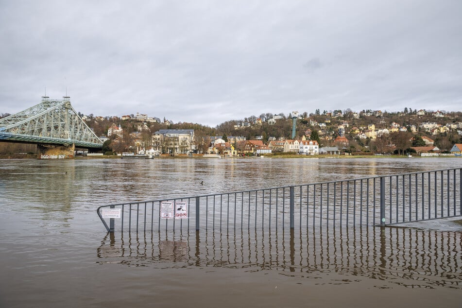 Die Elbe steigt immer weiter an. Unterhalb des Schillerplatzes wurde bereits ein Gehweg überschwemmt.
