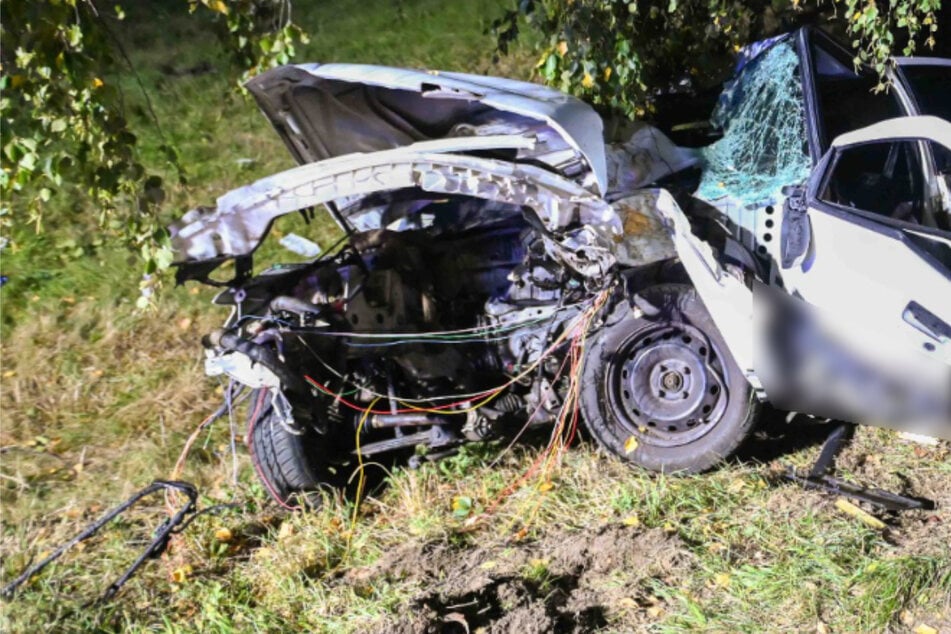 Peugeot kracht frontal gegen Baum: 37-Jährige und zwei Kinder schwer verletzt im Krankenhaus