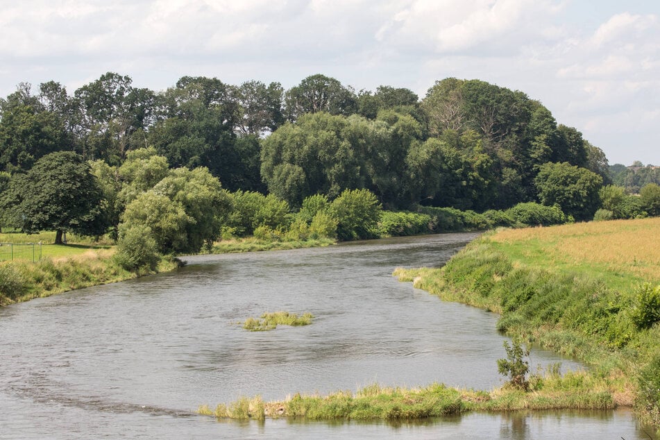 Sickerwasserreinigung zum Schutz der Flora und Fauna: Freiberger Mulde beim Zusammenfluss mit der Zwickauer Mulde.