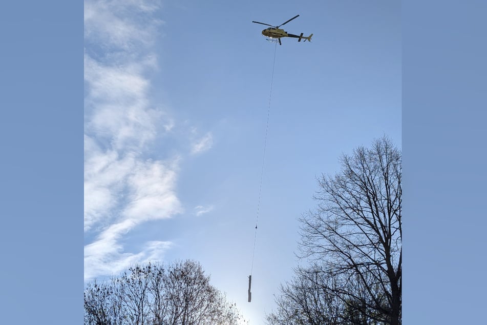 Der Hubschrauber kreist seit den Morgenstunden über Hamburg-Altona und transportiert gefällte Baumstämme.