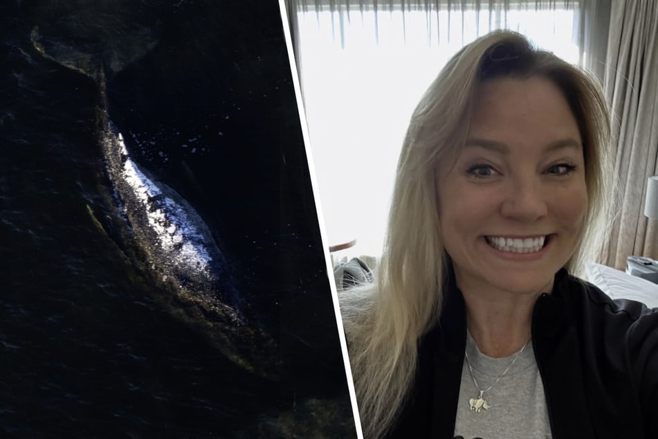 Tierärztin Jenna Wallace warnt: Neue Spezialisten haben schon Wale auf dem Gewissen