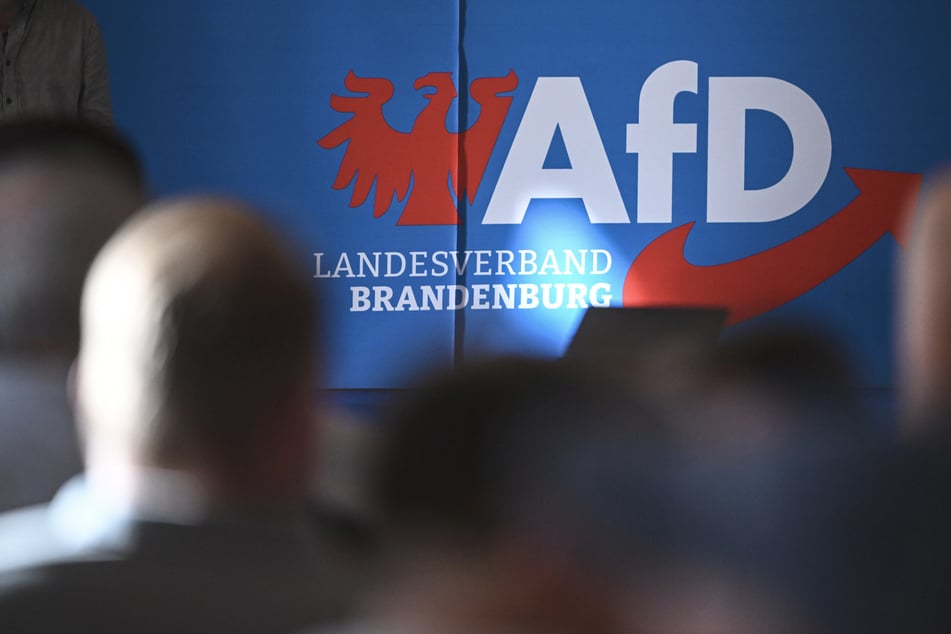 Rückzieher! Verfassungsschutz in Brandenburg setzt AfD-Hochstufung vorerst aus