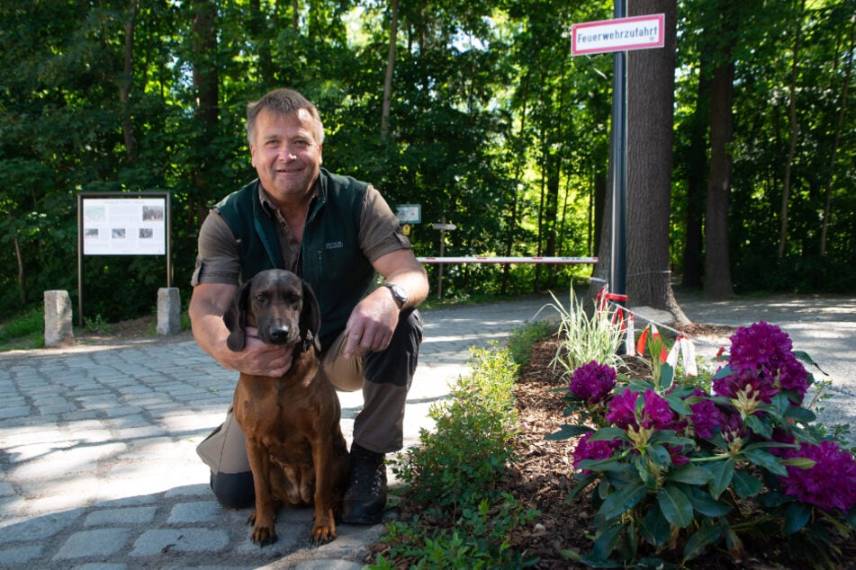 Revierförster Thomas Stelzig und seine Hündin Ayka sind im Wald zu Hause.