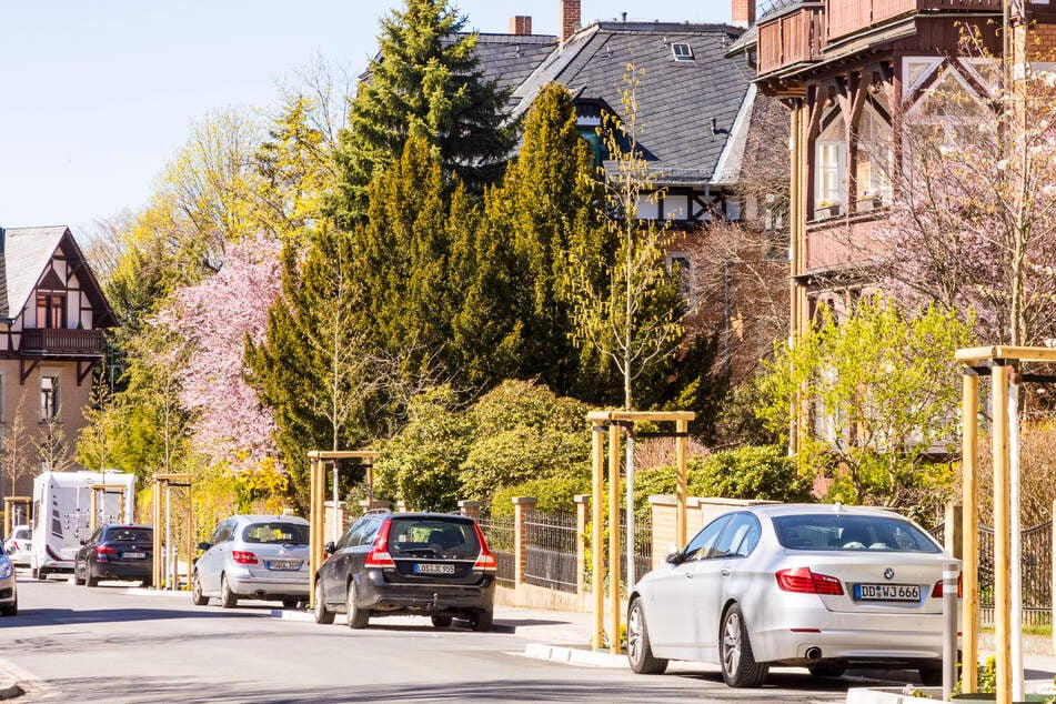 Dresden: Nach Begrünungs-Aktion in Loschwitz: Jetzt gibt es weniger Parkplätze
