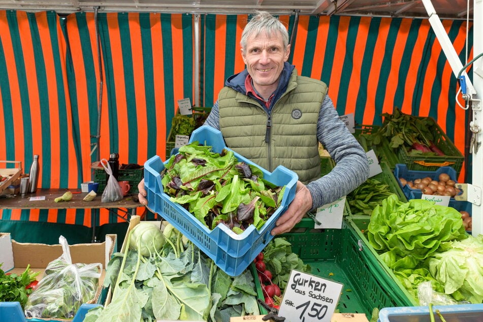 Ralf Naumann (55) verkauft sein Gemüse auch auf dem Wochenmarkt am Schillerplatz.