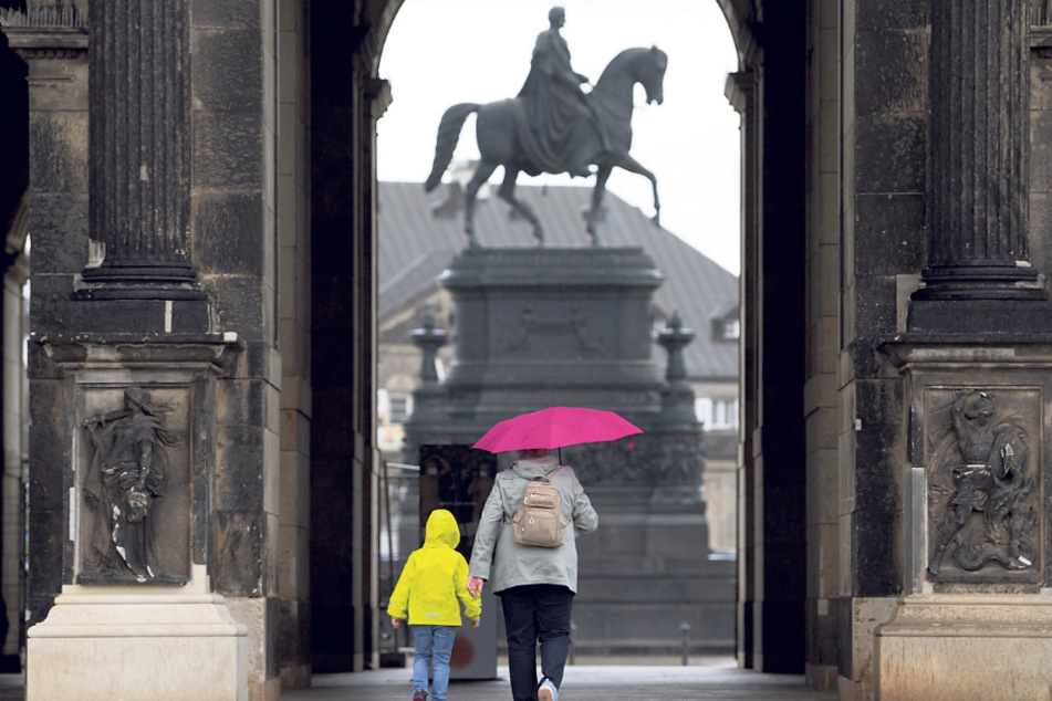 Regenwetter begünstigt die Ausbreitung der Mücken.