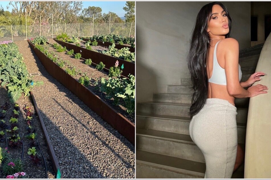 Kim Kardashian showed off her stunning home garden on Instagram.