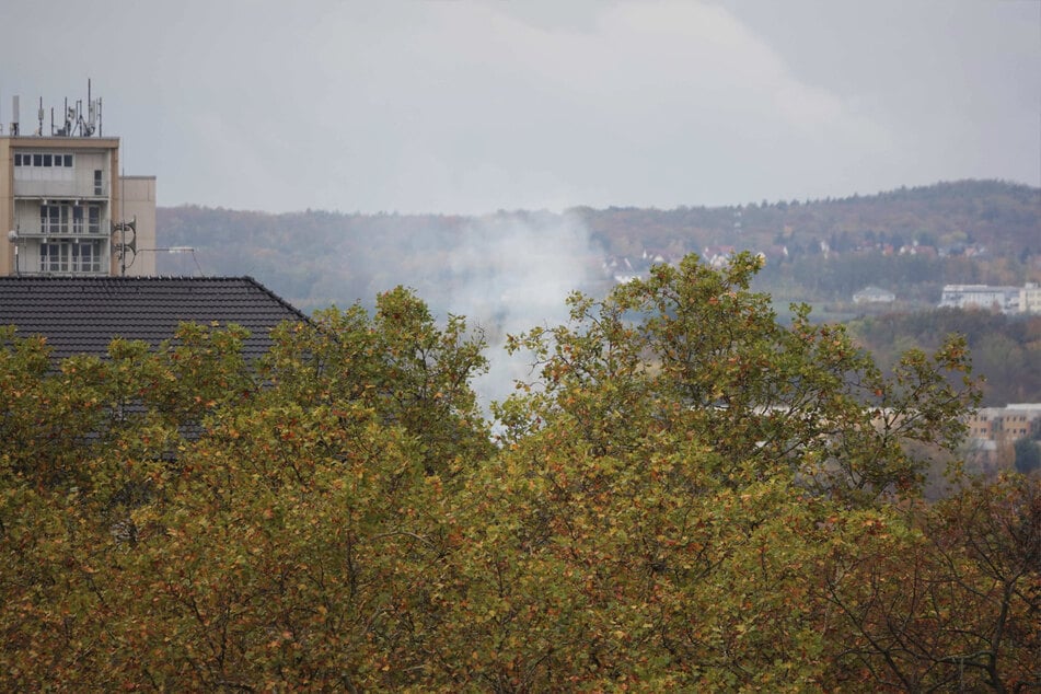 Die Rauchwolke des Brandes in Strehlen war von Weitem sichtbar.