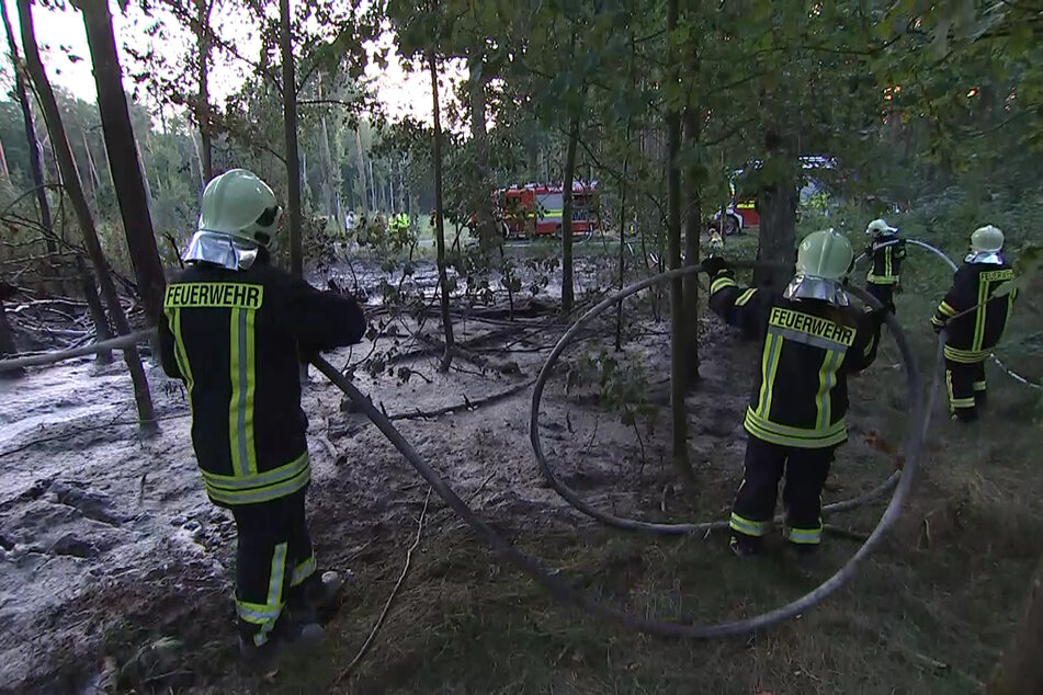Etwa 500 Quadratmeter Wald mussten gelöscht werden.