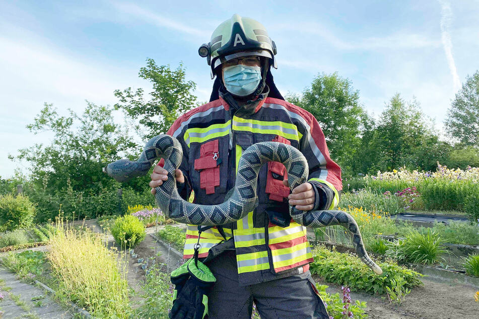 Die Feuerwehrleute posierten nach dem Einsatz mit dem Gummitier.