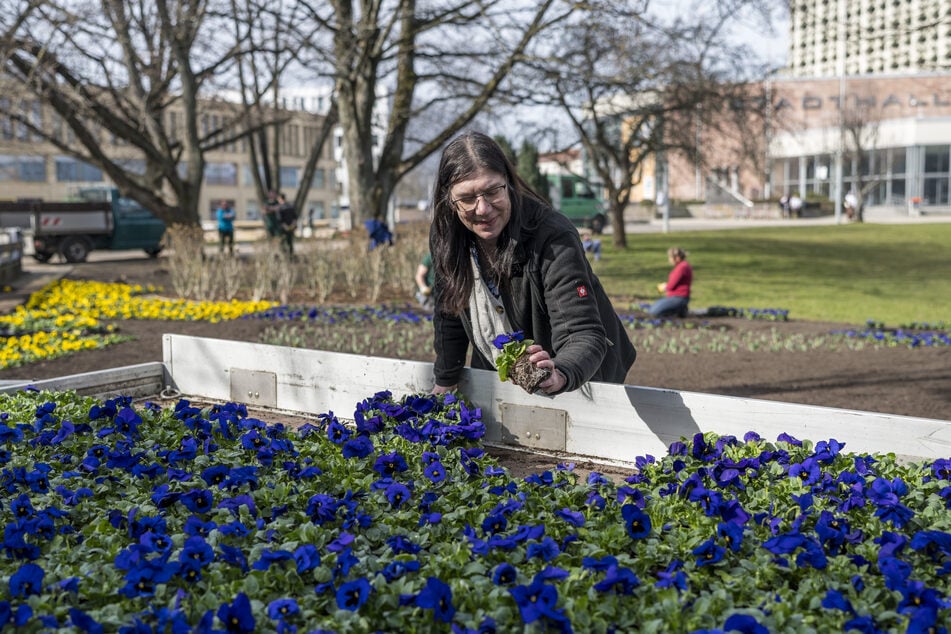 Gärtnermeisterin Ilka Voigt plant seit Jahren die Pflanzungen in der Innenstadt.