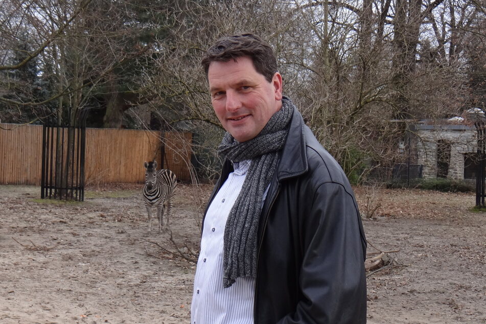 Zoochef Eugene Bruins (55) erwartet in wenigen Wochen das Ergebnis der Prozedur.