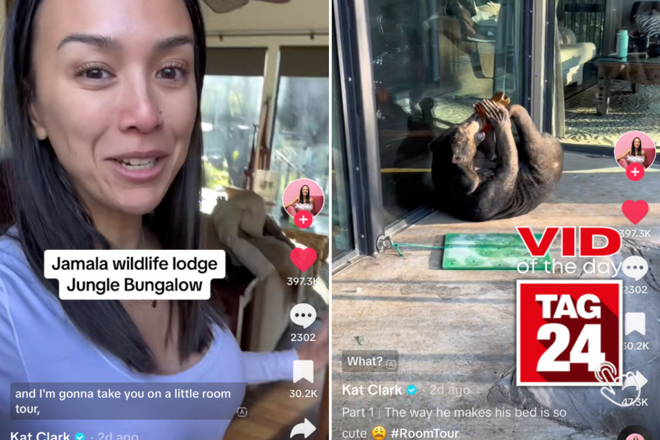 viral videos: Viral Video of the Day for July 25, 2023: Couple on TikTok sleep next to bear in jungle bungalow!