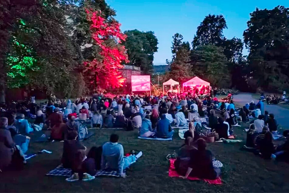 Gezeigt werden Spielfilme auf 35mm-Film mit dem charakteristischen mechanischen Laufgeräusch der Projektoren.