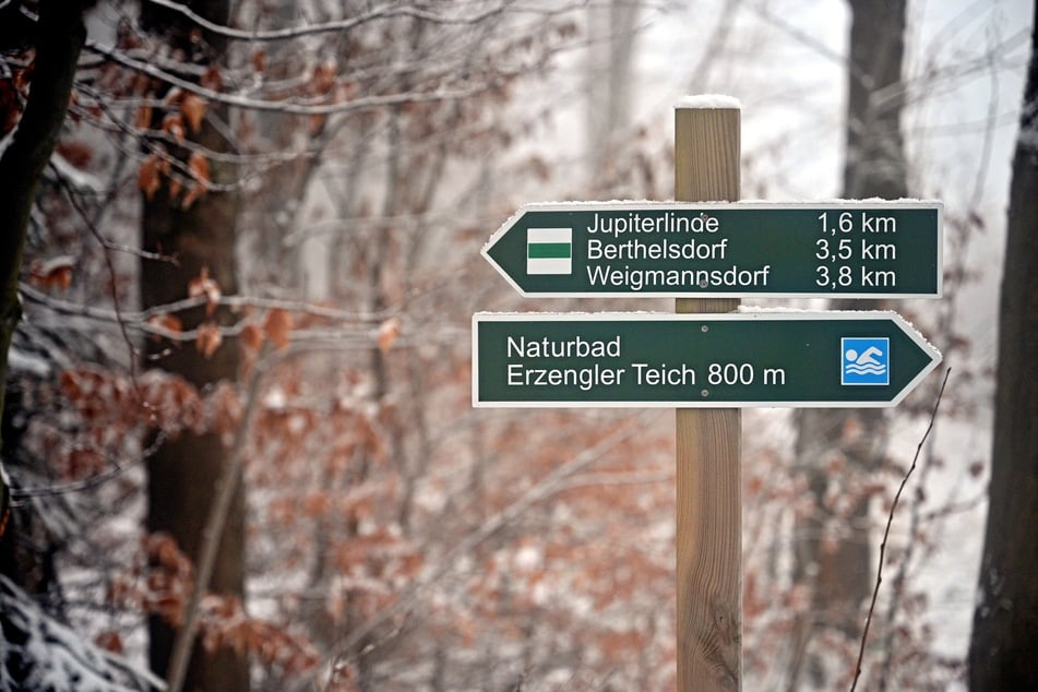 Das Grundstück befindet sich auf der Müdisdorfer Straße, ganz in der Nähe des Naturbades Erzengler-Teich.