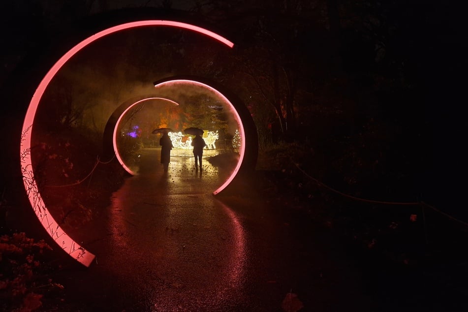 Im Regen bekommen die in Hamburg neu installierten "Nebelmonde" nochmal ein besonders mystischen Touch.