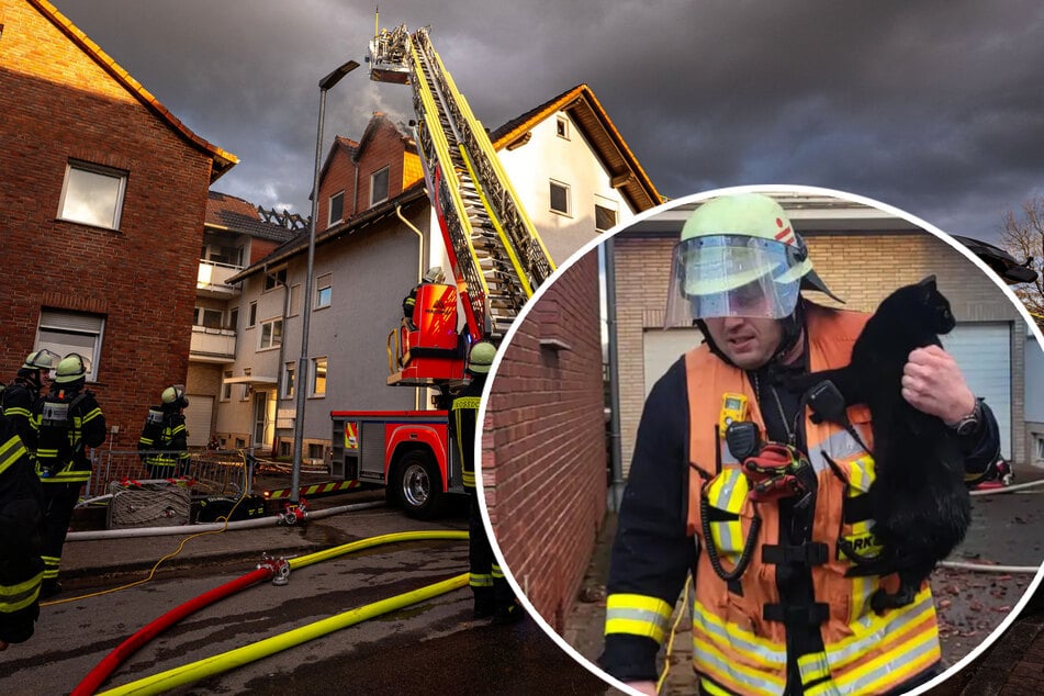 Mehrfamilienhaus brennt: Feuerwehr rettet Katze aus den Flammen!