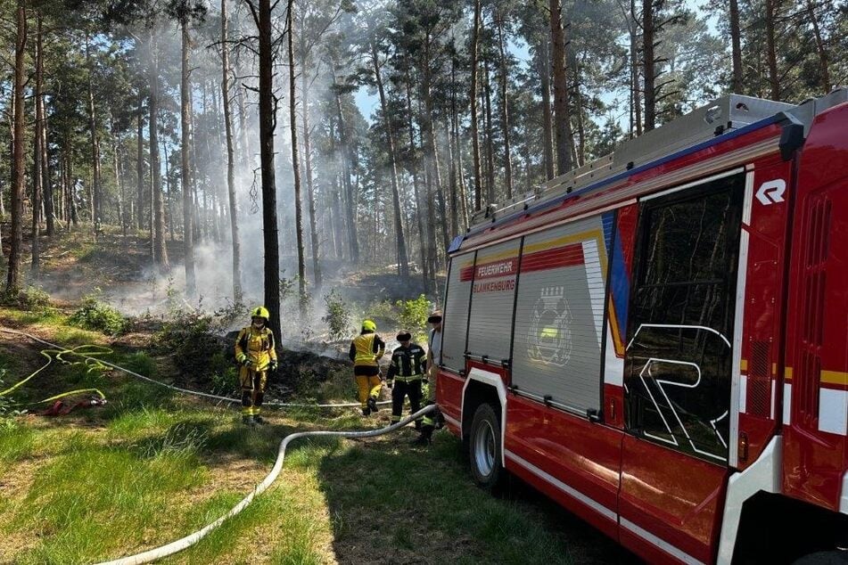 Waldbrand im Harz: Polizei findet Spuren auf Brandstiftung
