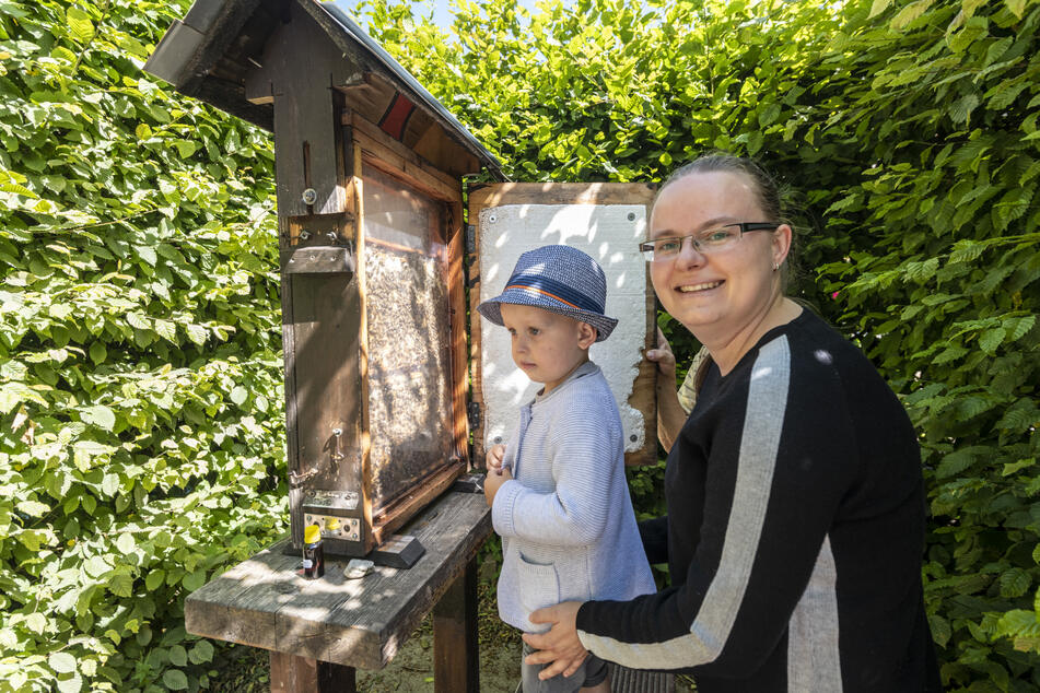 Ganz viele Bienen Majas und Faule Willis: Sandy Schramm (30) und Henry (2) staunen über den Schaubienenstock.