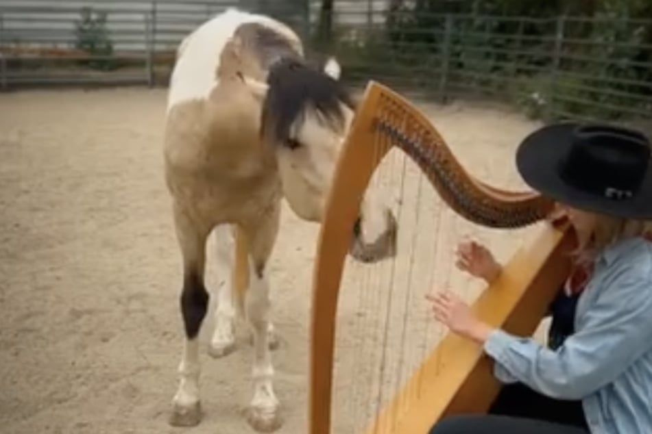 Nicht nur von der Gitarre ist Yupia begeistert, auch an der Harfe und weiteren Instrumenten findet er Gefallen.