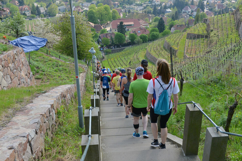 Vor malerischer Kulisse findet mal wieder der Treppenmarathon in Radebeul statt.