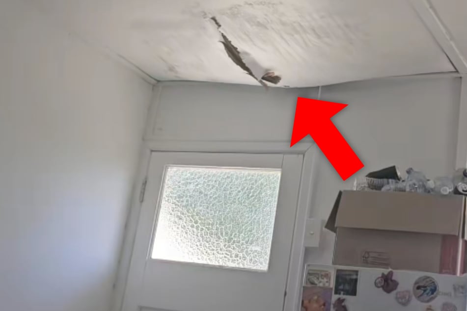 Frau traut ihren Augen kaum, als sie während der Mittagspause an die Zimmerdecke blickt