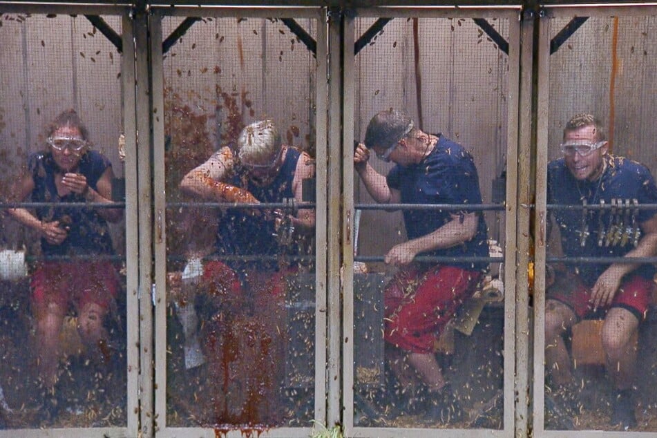 Bei der Dschungelprüfung "Die WEH C-Promis" wird es schmutzig und eklig.