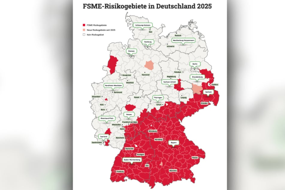Fast ganz Sachsen ist als FSME-Risikogebiet eingestuft. Für Borreliose gibt es diese Einstufung nicht.