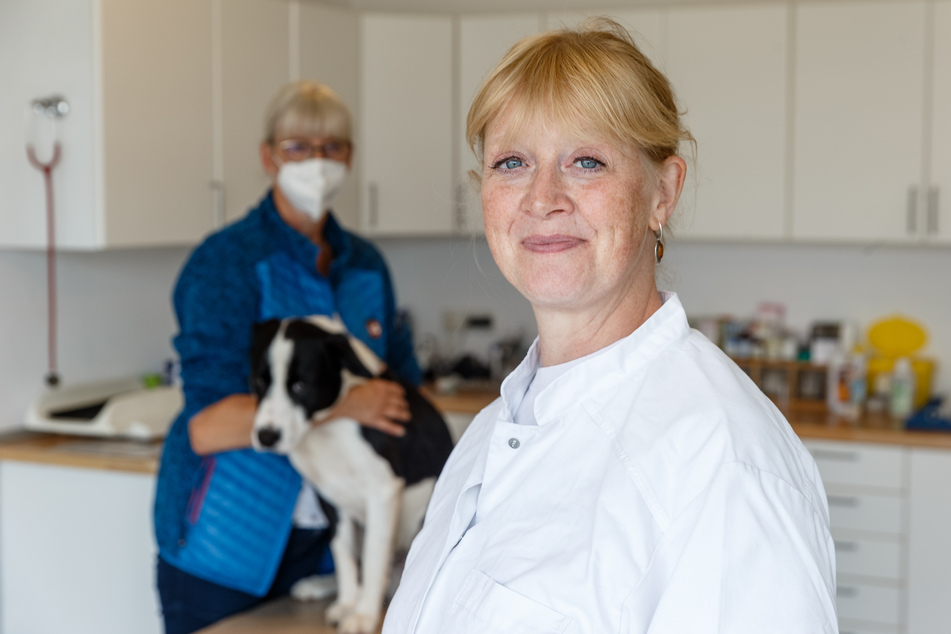 Tierärztin Christina Bertram, Sprecherin der Tierärztekammer Hamburg.
