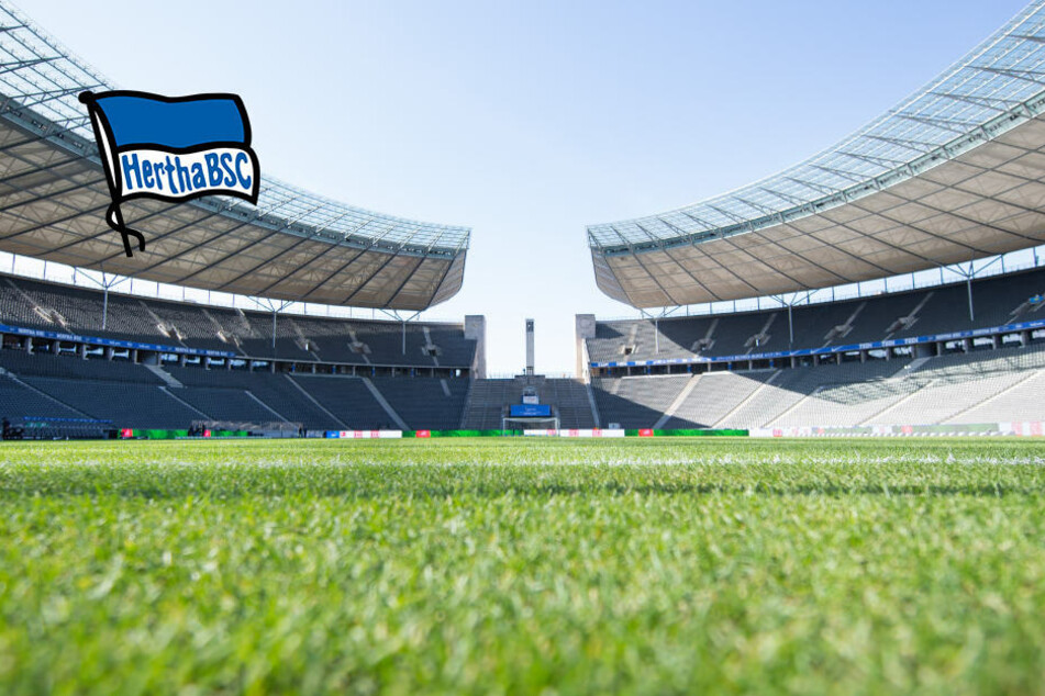 Hertha BSC: betway steigt als offizieller Sportwetten-Partner ein