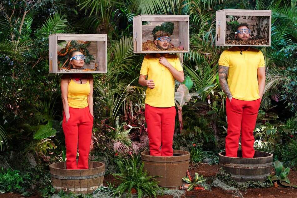 An Tag 7 in der Dschungelshow galt es, Wissensfragen zu beantworten - nur 4 von 12 Sternen ergatterte Christina mit "ihren Jungs".