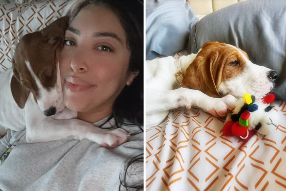 Kristie Pereira hatte ihren Hund Beau sehr lieb, bevor sie ihn schweren Herzens zum Einschläfern gab.